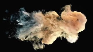 Bubuk Pengembang Toshiba D5070 500g untuk e-STUDIO